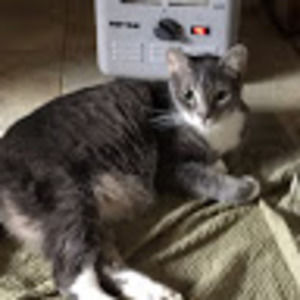 Meet your Posher, Joseph